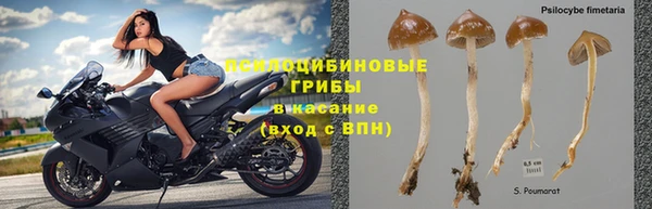 скорость Володарск
