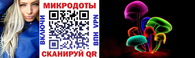 Псилоцибиновые грибы Psilocybe  Карачаевск 